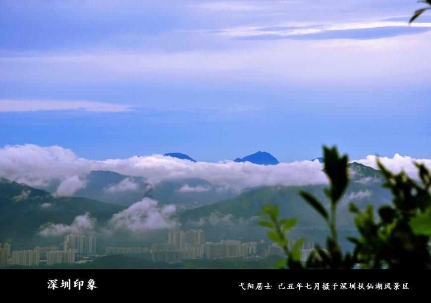 奈飞联合创始人向慈善机构捐赠所持四成股权,价值超11亿美元