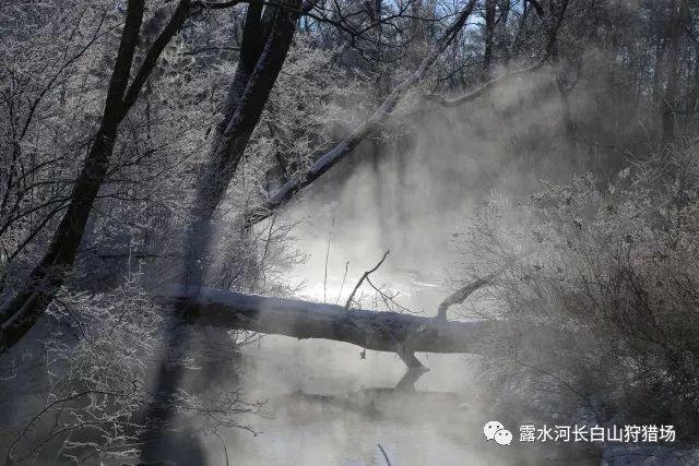 萨基:米兰的进步都是皮奥利教导的结果,现在不能再考虑联赛冠军