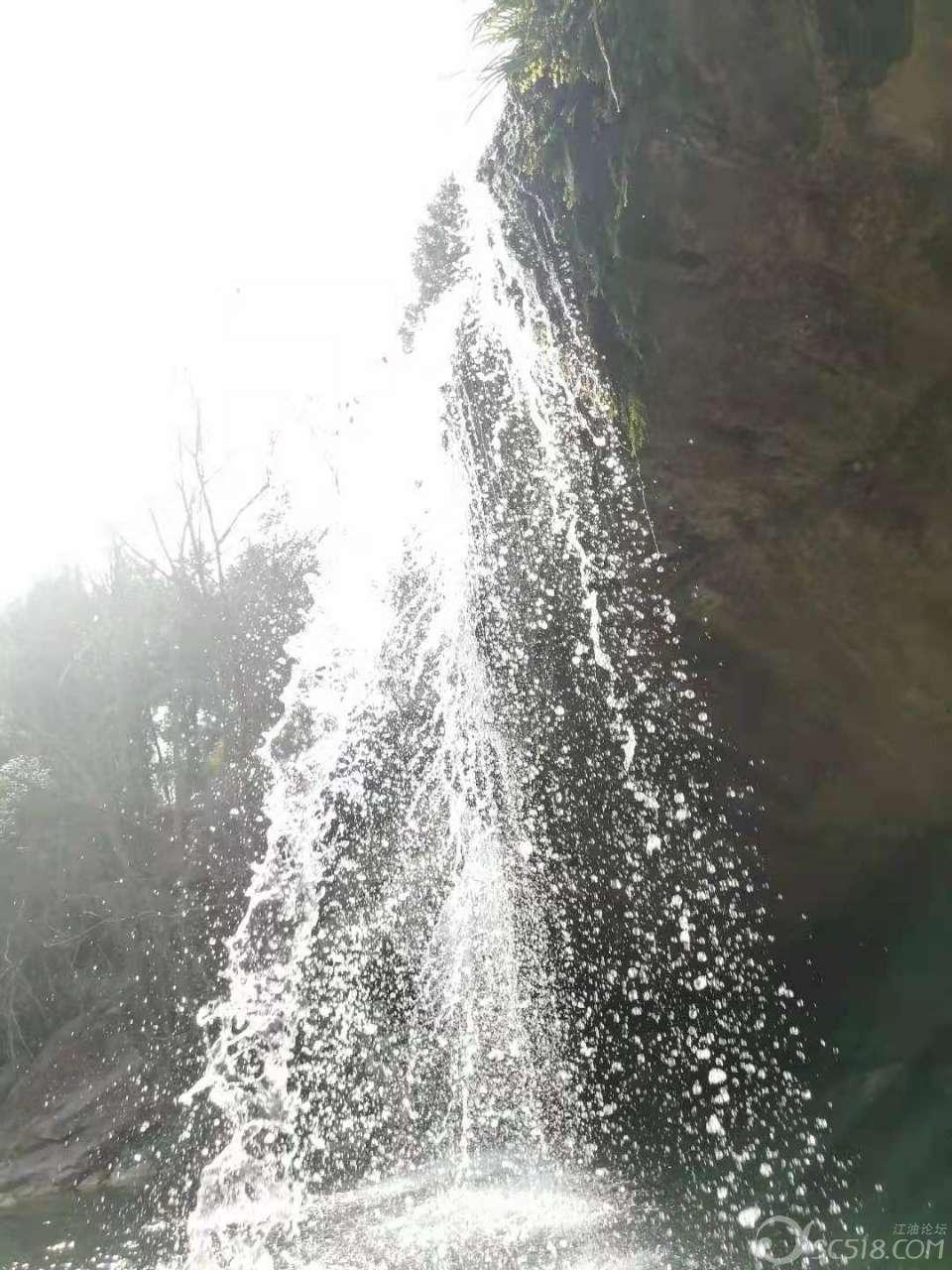 任天堂今年将推出8英寸lcd屏幕游戏掌机