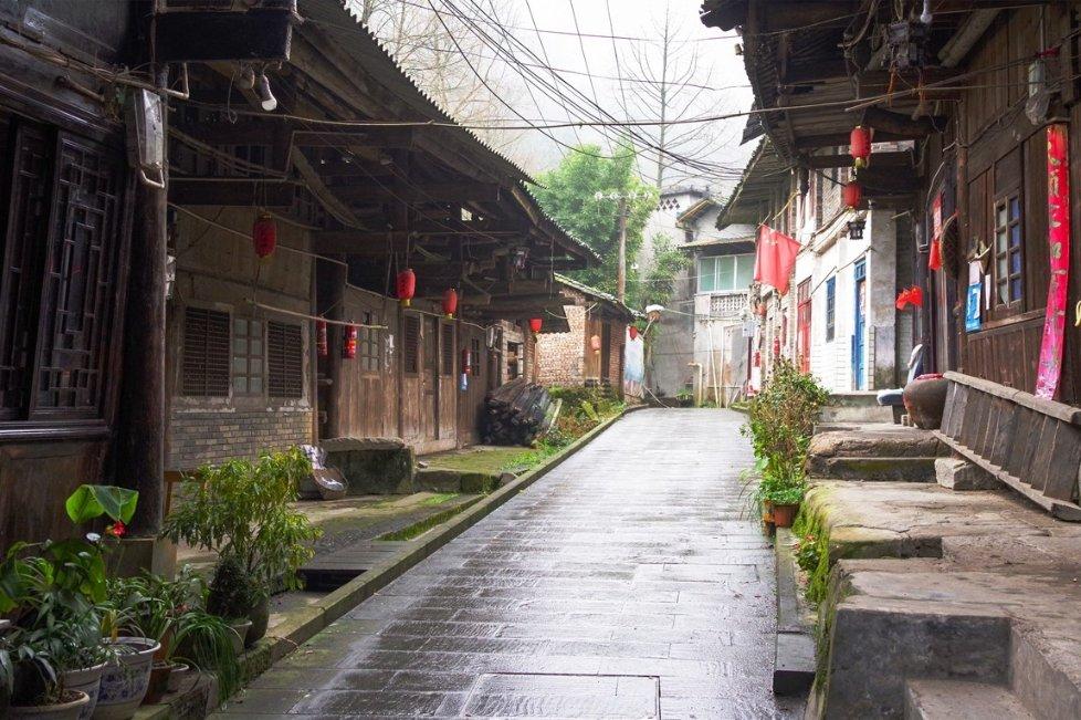 春雨直播app